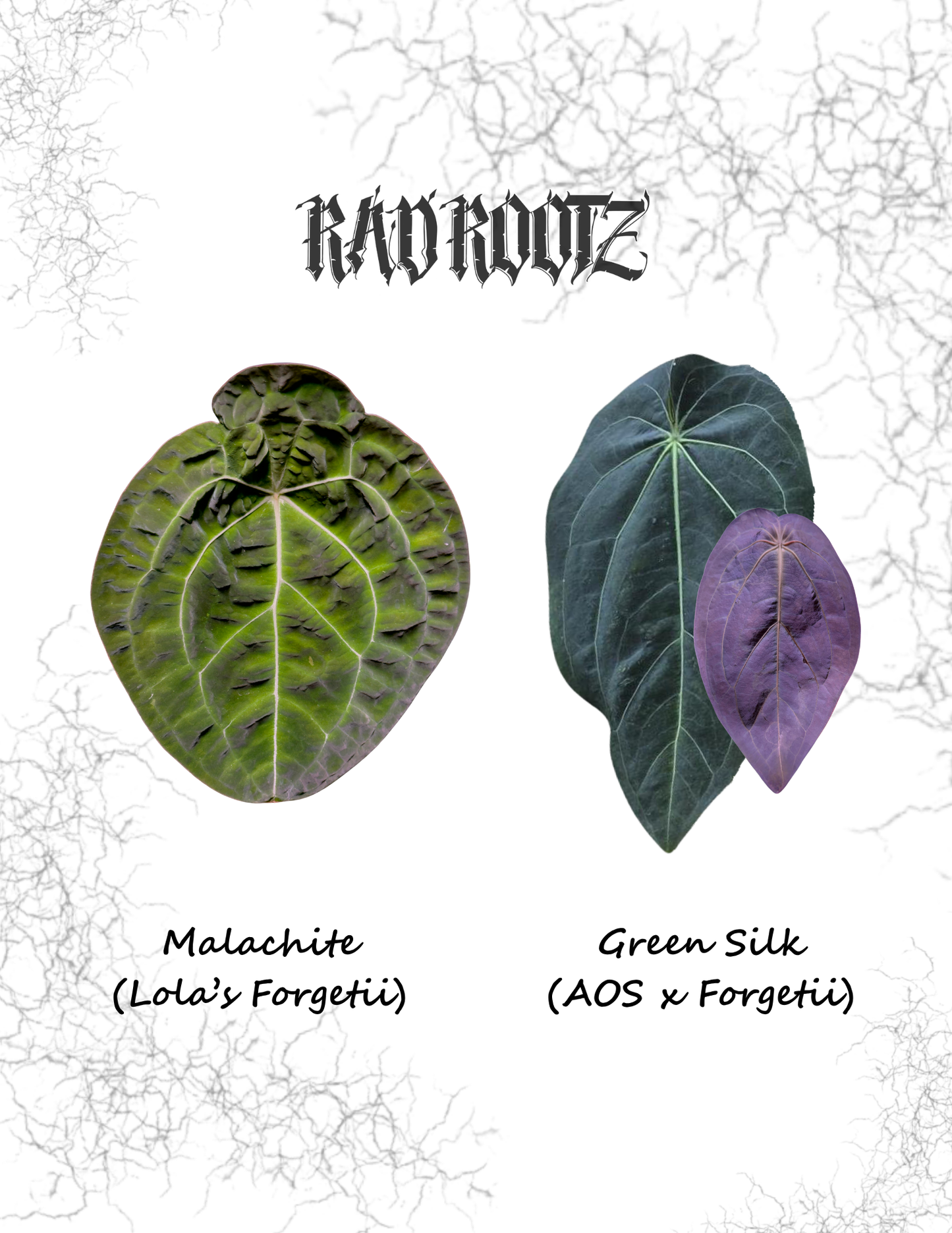 Malachite x Green Silk