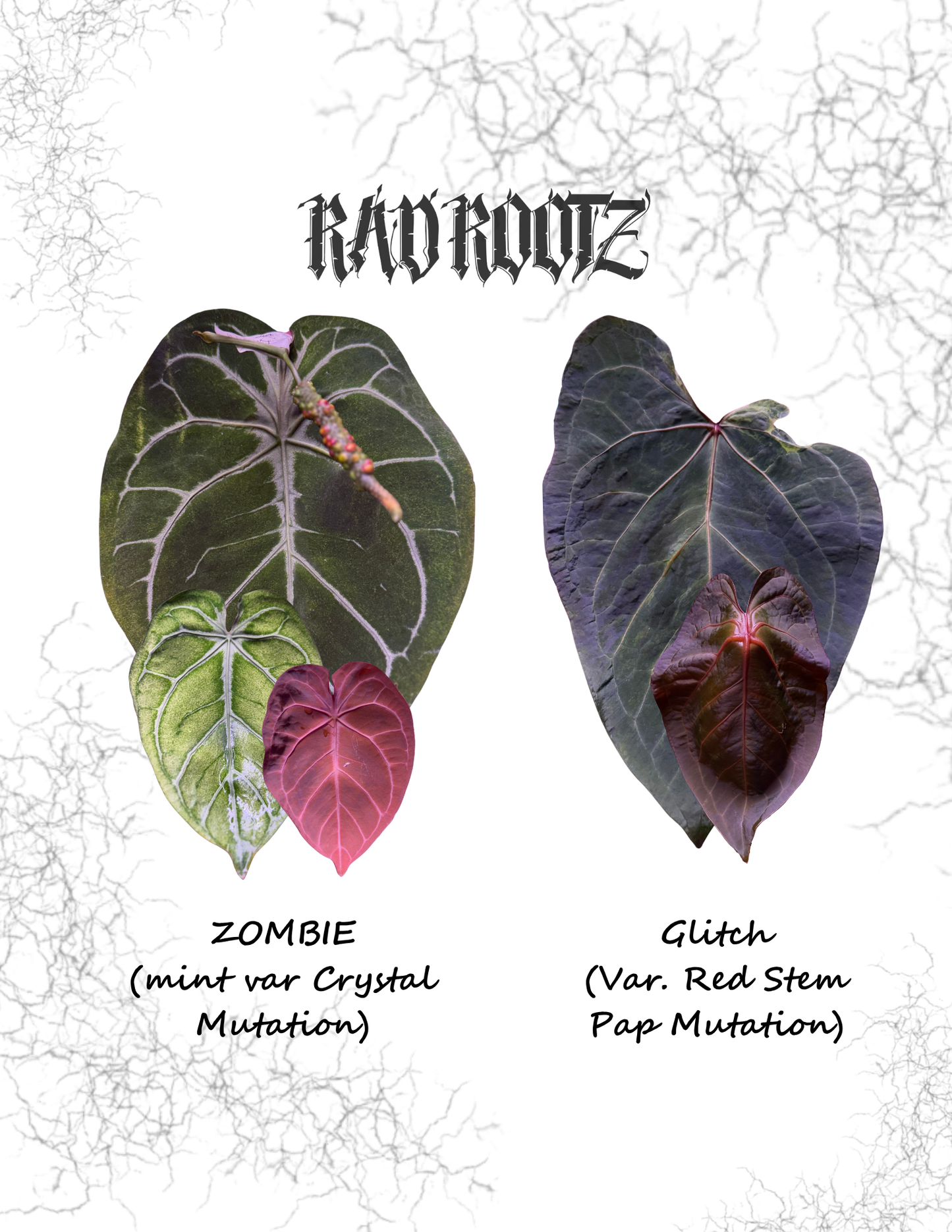 Zombie x Glitch Seedling