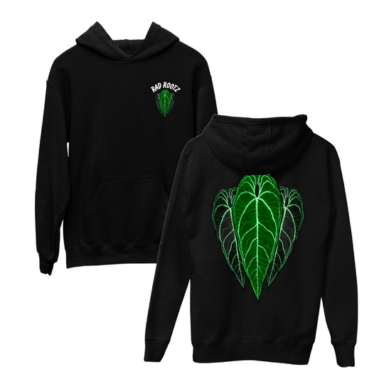 Warocq Hoodie